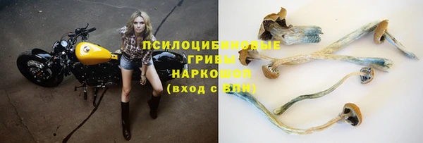 твердый Медвежьегорск