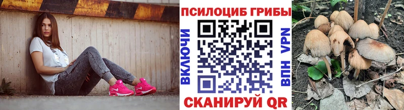 Псилоцибиновые грибы мицелий  Купить где  Чайковский 