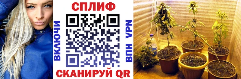Бошки Шишки семена  Купить где  Чайковский 